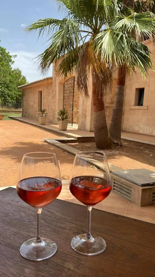 Maison d'hôtes Hotel Finca Sol Y Vida - Agroturismo Son Sampoli à Llucmajor